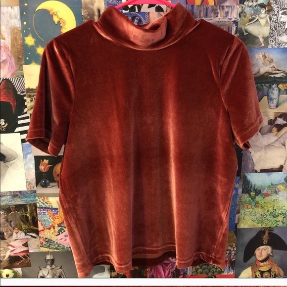Madewell Velvet Mockneck Shirt in Rust - Picture 3 of 5